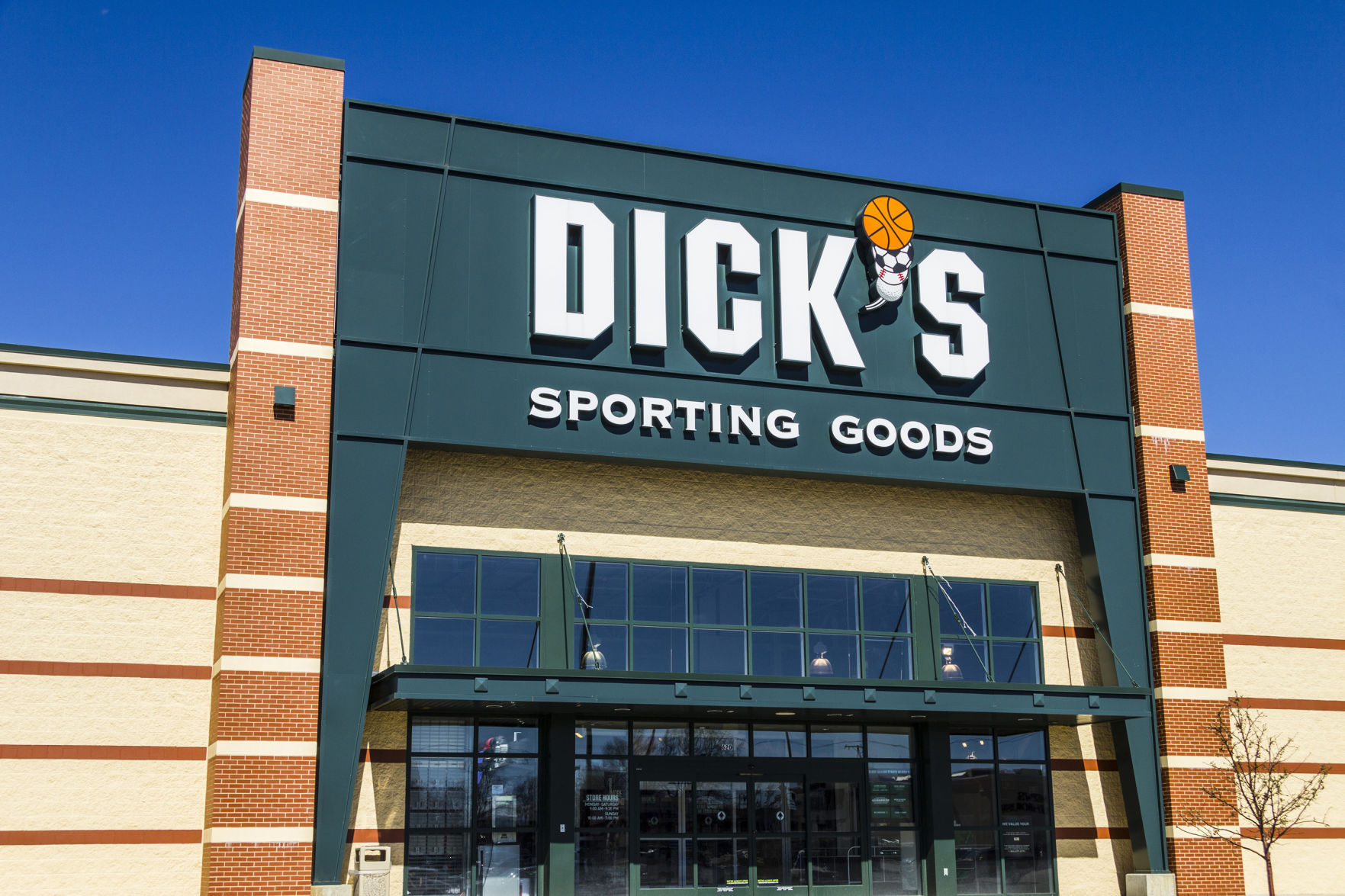 BIZ DICKS-RIFLES NY